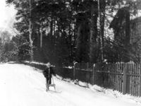 ПОСМОТРЕТЬ ФОТОГРАФИЮ | Вырица. День здоровья. Финские сани Вырица. День здоровья. Финские сани